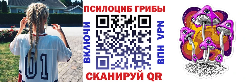 Купить где  Соль-Илецк  Псилоцибиновые грибы Cubensis 
